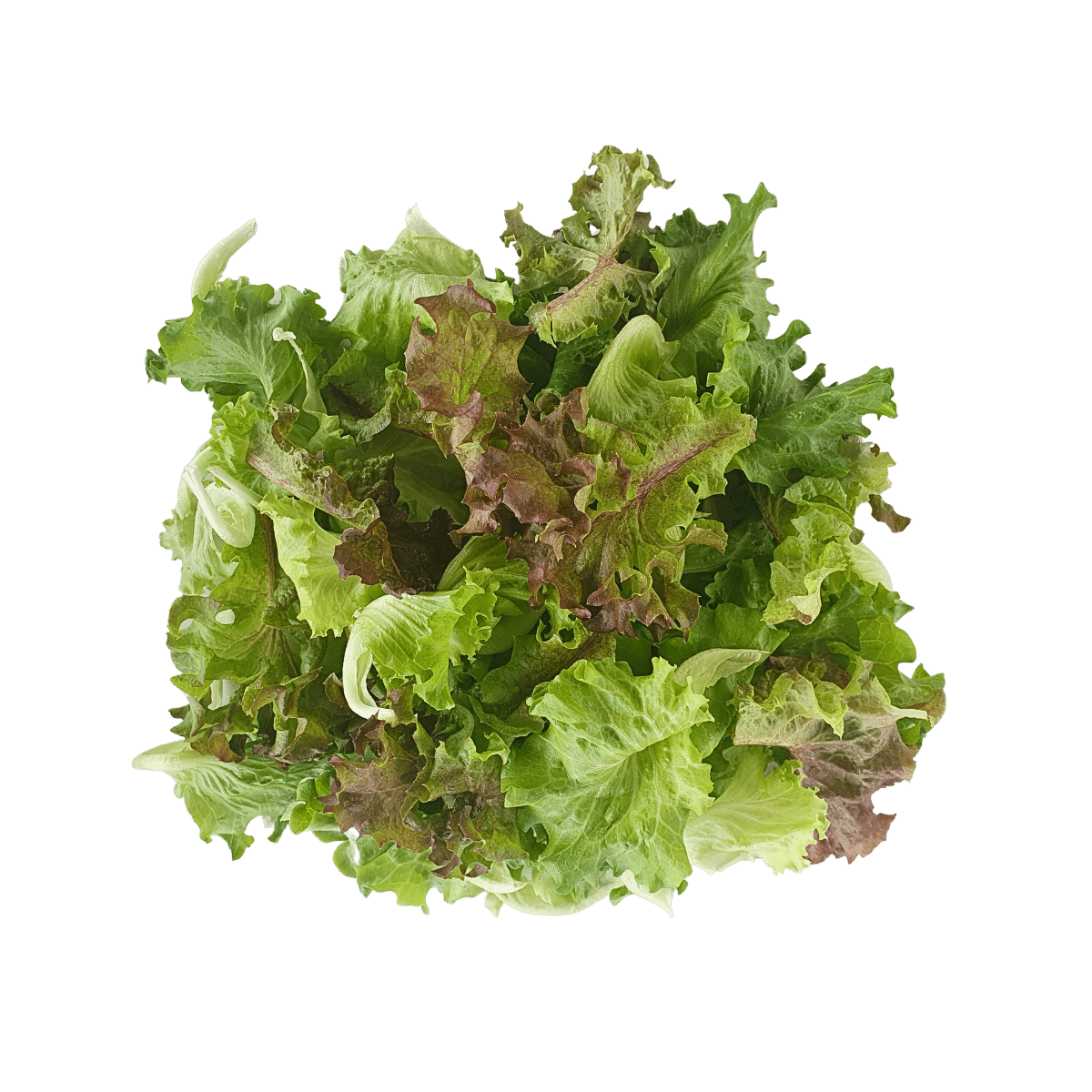 Farm Fresh Lettuce Mix